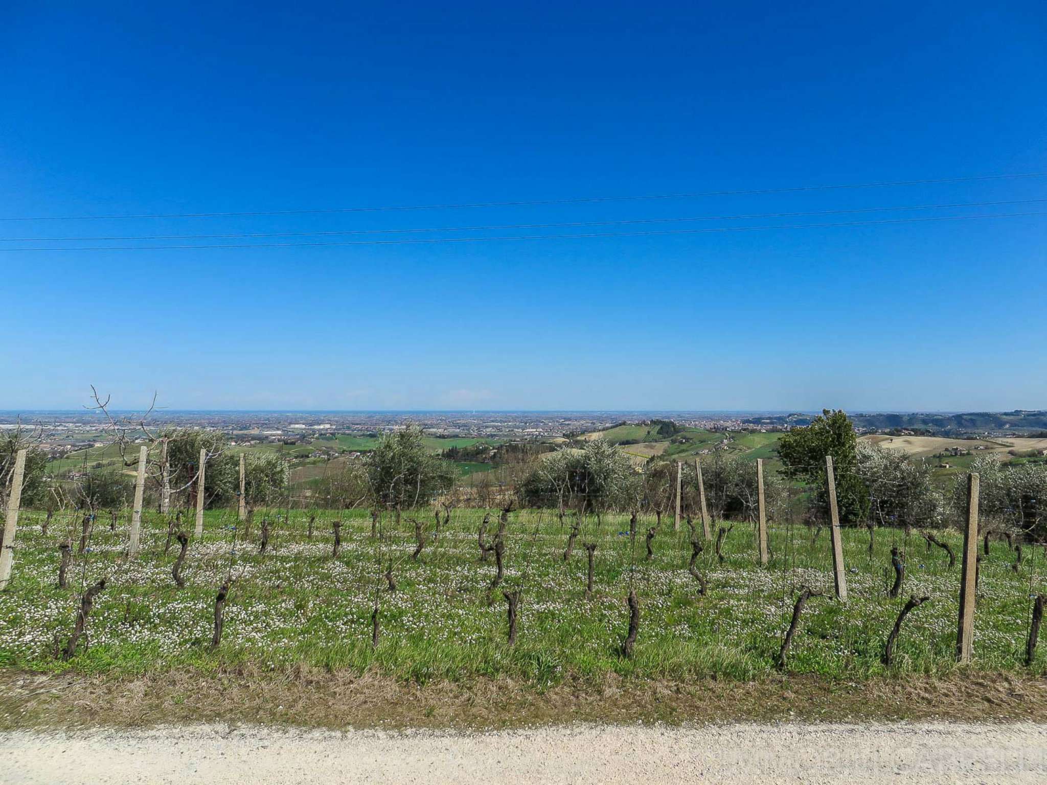 Villa Unifamiliare - Indipendente BERTINORO vendita    IMMOBILI CAPPELLI S.R.L.