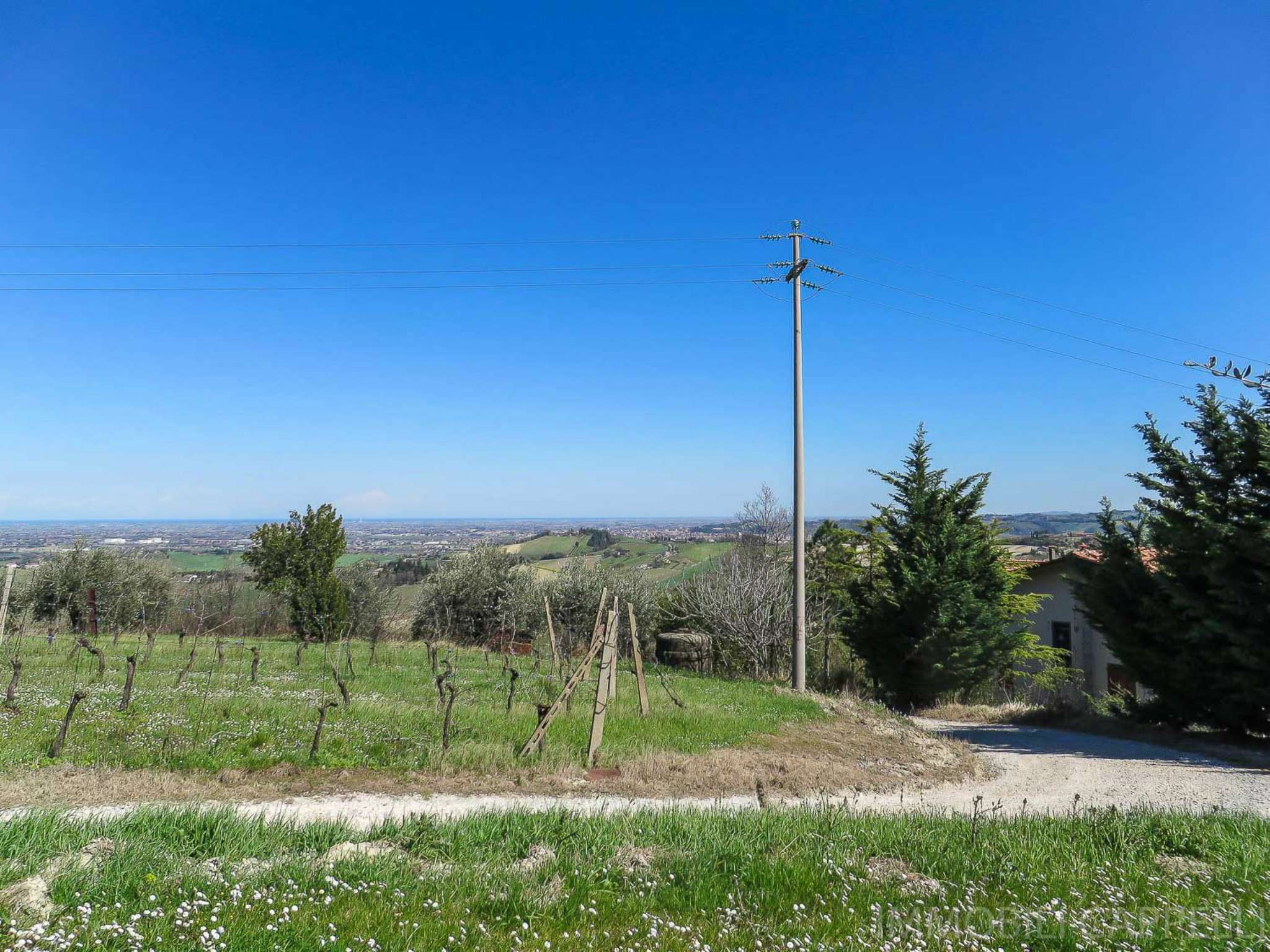 Villa Unifamiliare - Indipendente BERTINORO vendita    IMMOBILI CAPPELLI S.R.L.
