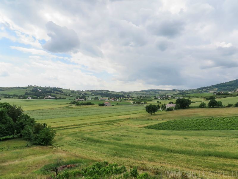 Appartamento BERTINORO vendita   consolare IMMOBILI CAPPELLI S.R.L.