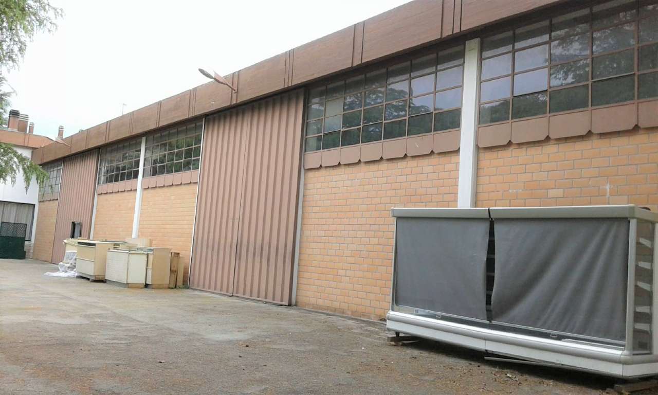  rimini affitto quart:  rimini-immobiliare