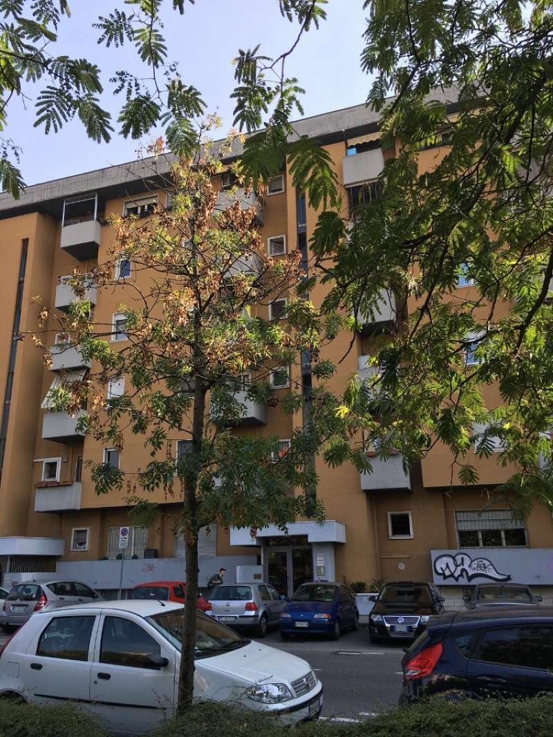 Appartamento BRESCIA vendita  FORNACI via Rodi eurostudio immobiliare tre