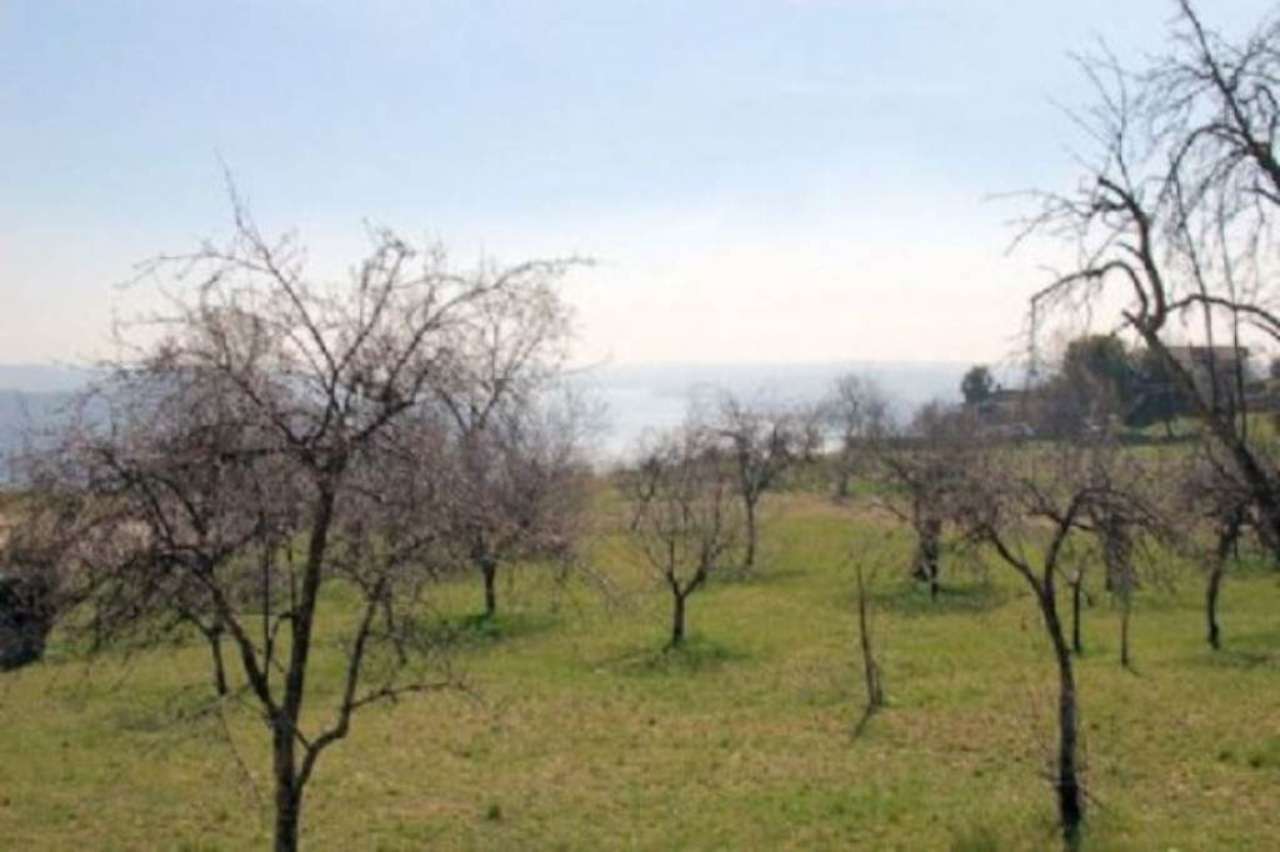 Villa MASSINO VISCONTI vendita   vignetto Agenzia Immobiliare De Agostini