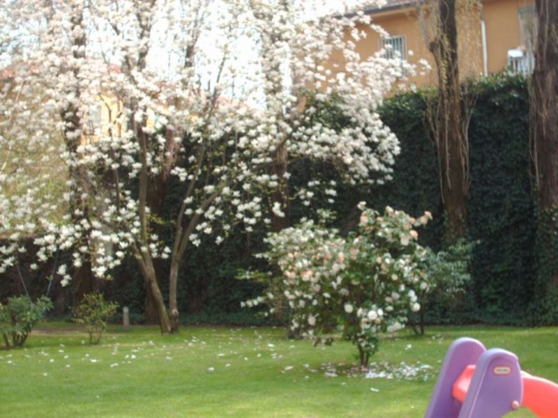 Appartamento MILANO affitto  TRENNO Pinerolo Adelia Ciasullo