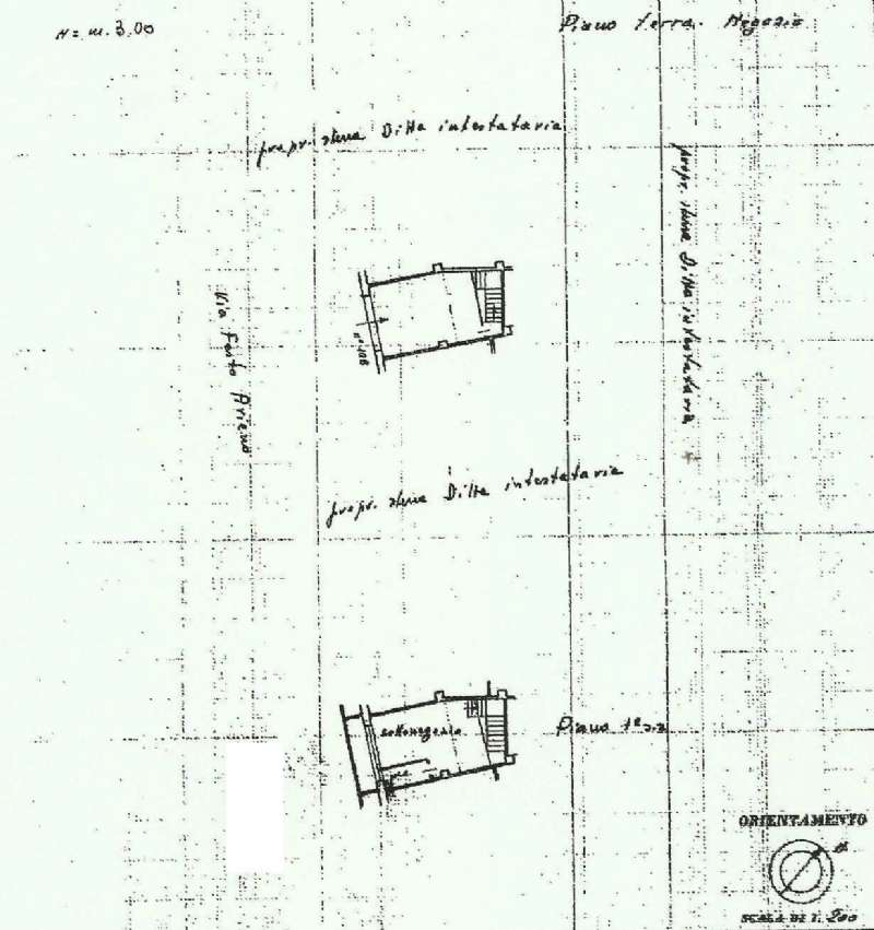 Negozio - Loc.Com. ROMA affitto  BALDUINA Festo Avieno Patrizia Bacciu
