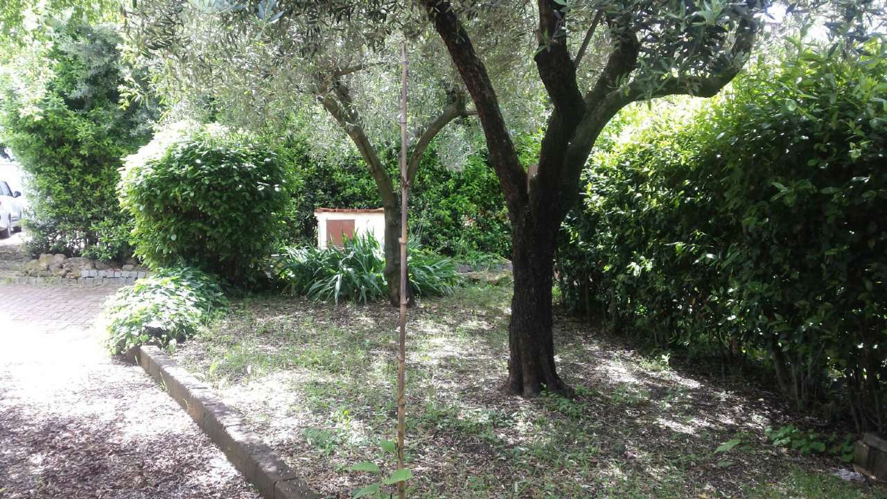 Appartamento ROMA affitto  BOCCEA di Boccea Patrizia Bacciu
