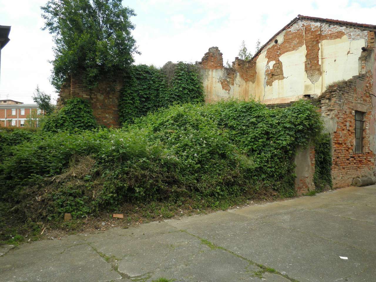 Rustico - Cascina CASALMORANO vendita    AGENZIA IMMOBILIARE DREAM...CASA di ILARI VALERIA