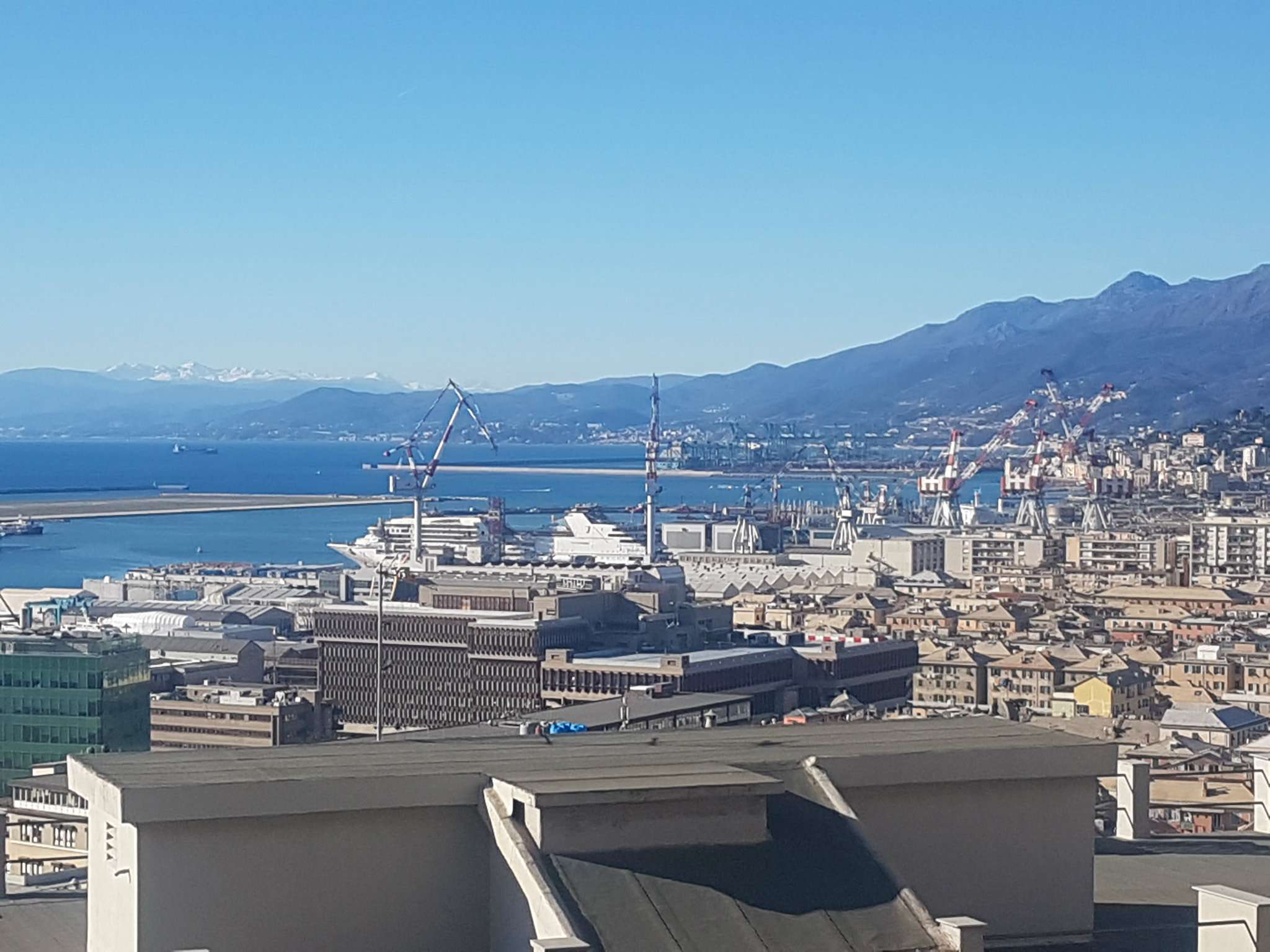  genova vendita quart: sestri p. aelle immobiliare