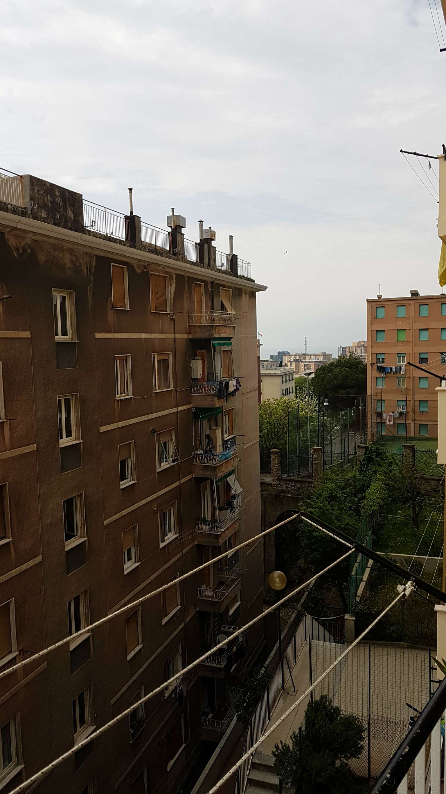 Appartamento GENOVA vendita  SAN TEODORO bologna EGEA IMMOBILIARE