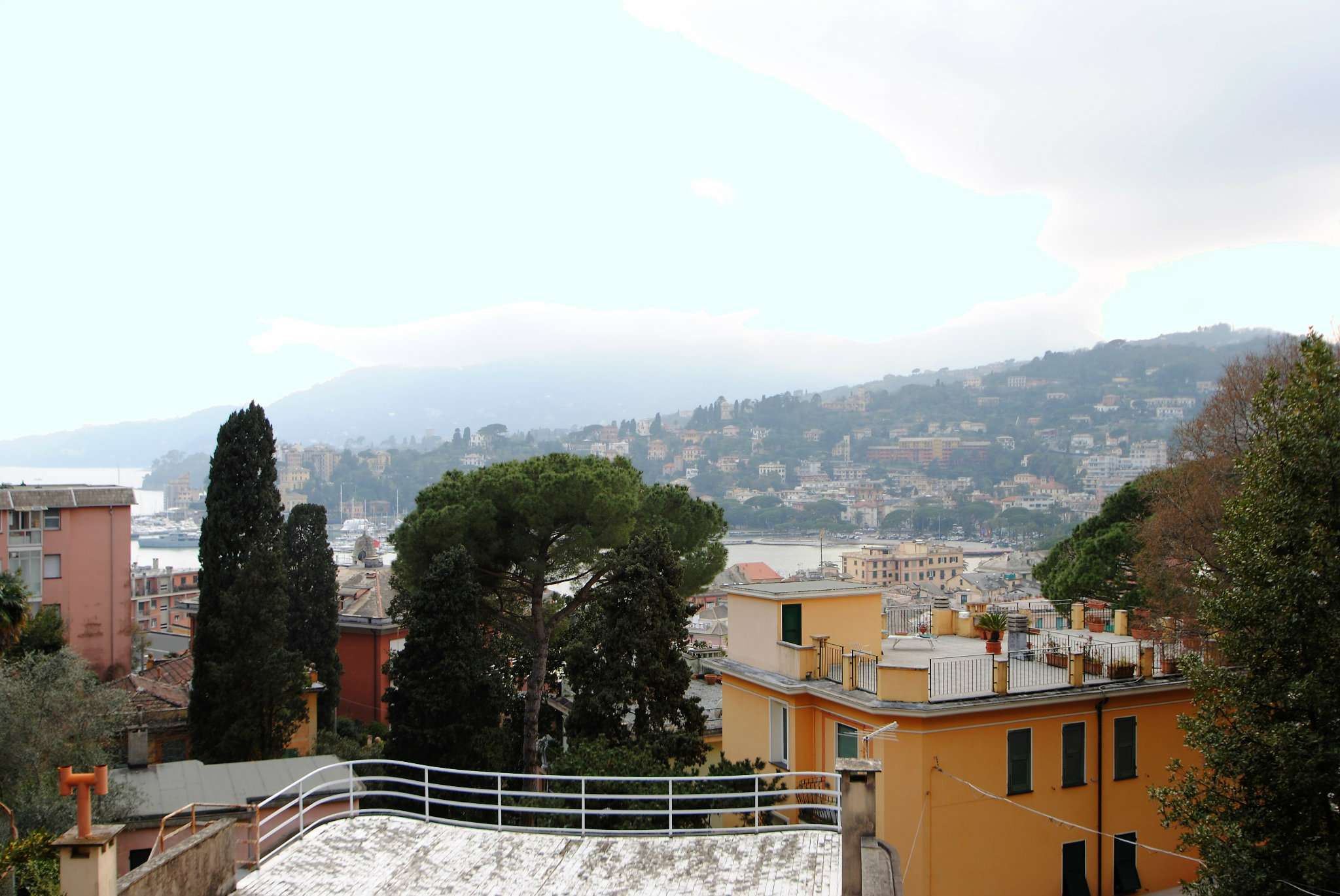 Appartamento RAPALLO vendita    Sognocasa