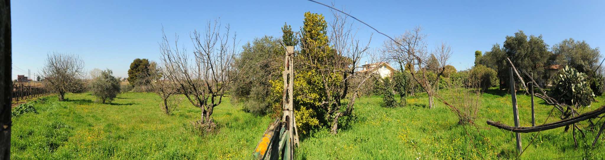 Villa Trifamiliare CIAMPINO vendita   TORRE DELL'ACQUA SOTTERRA PRINZI CASE