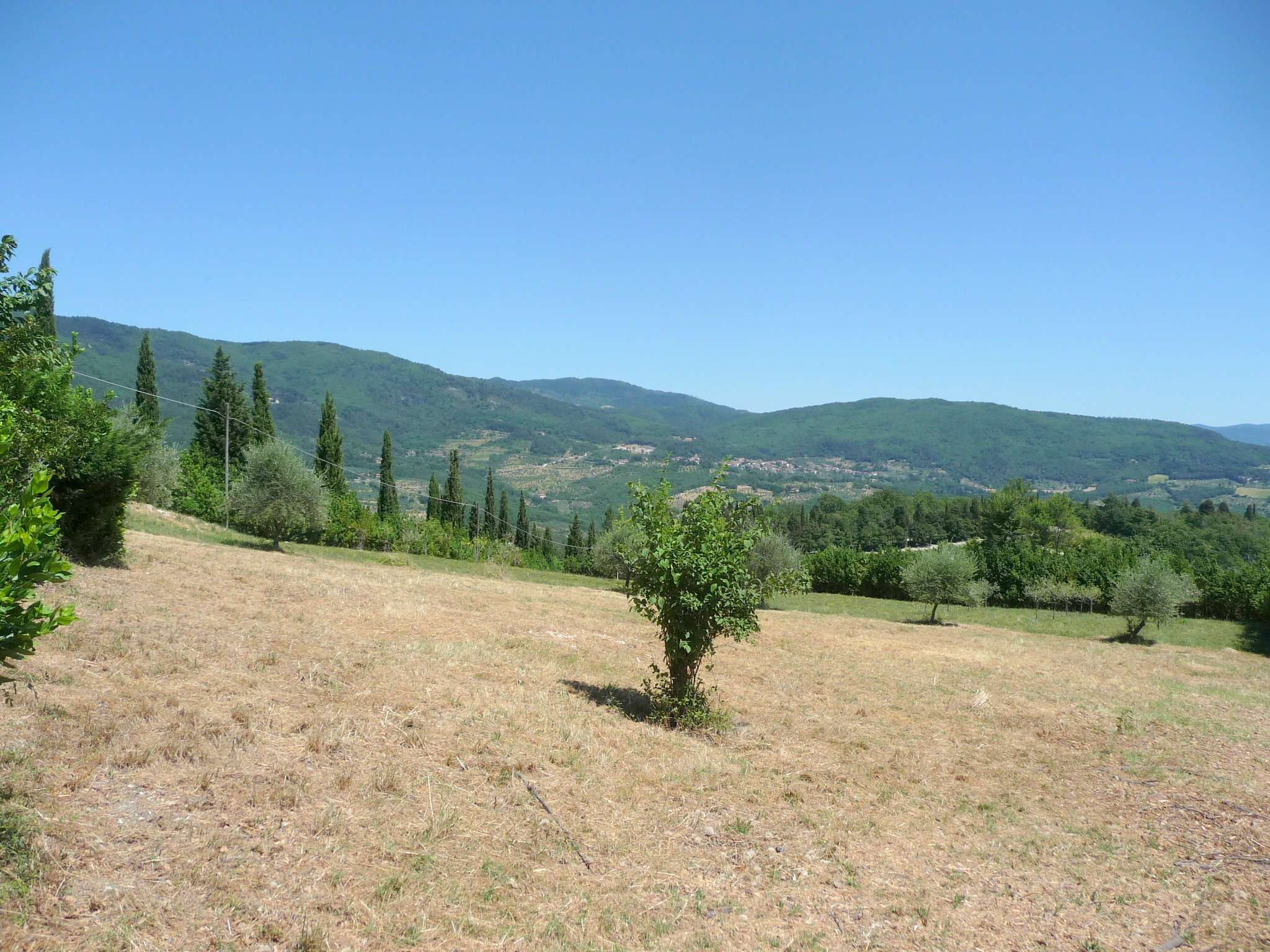 Rustico - Cascina PONTASSIEVE vendita   dei Bosconi Studio Immobiliare Bartoloni