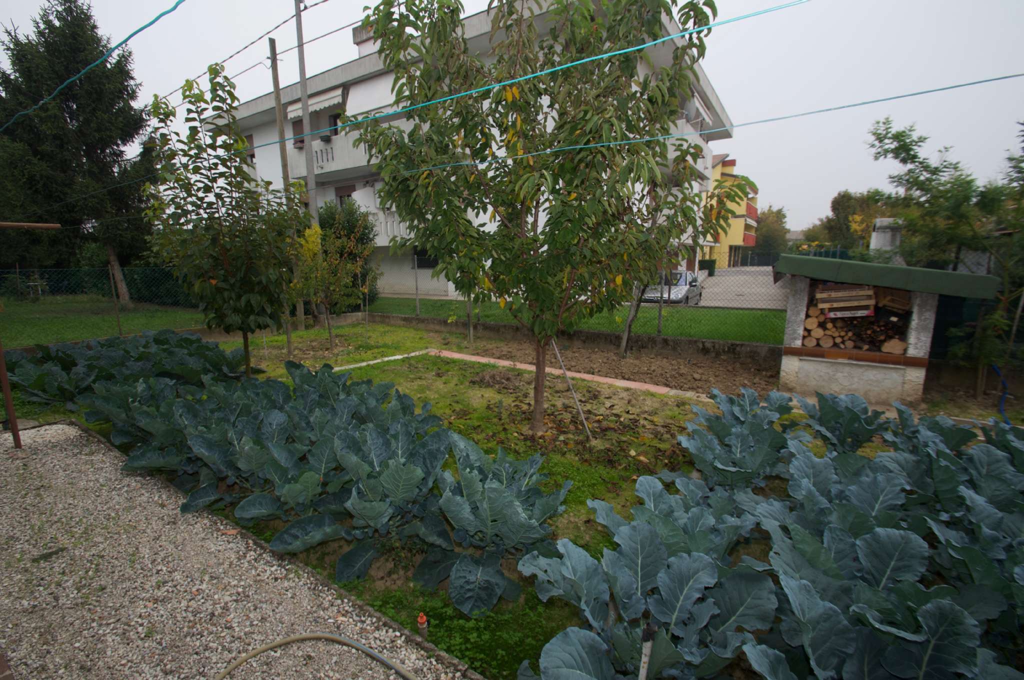  maserà-di-padova vendita quart:  habitat-s.a.s.