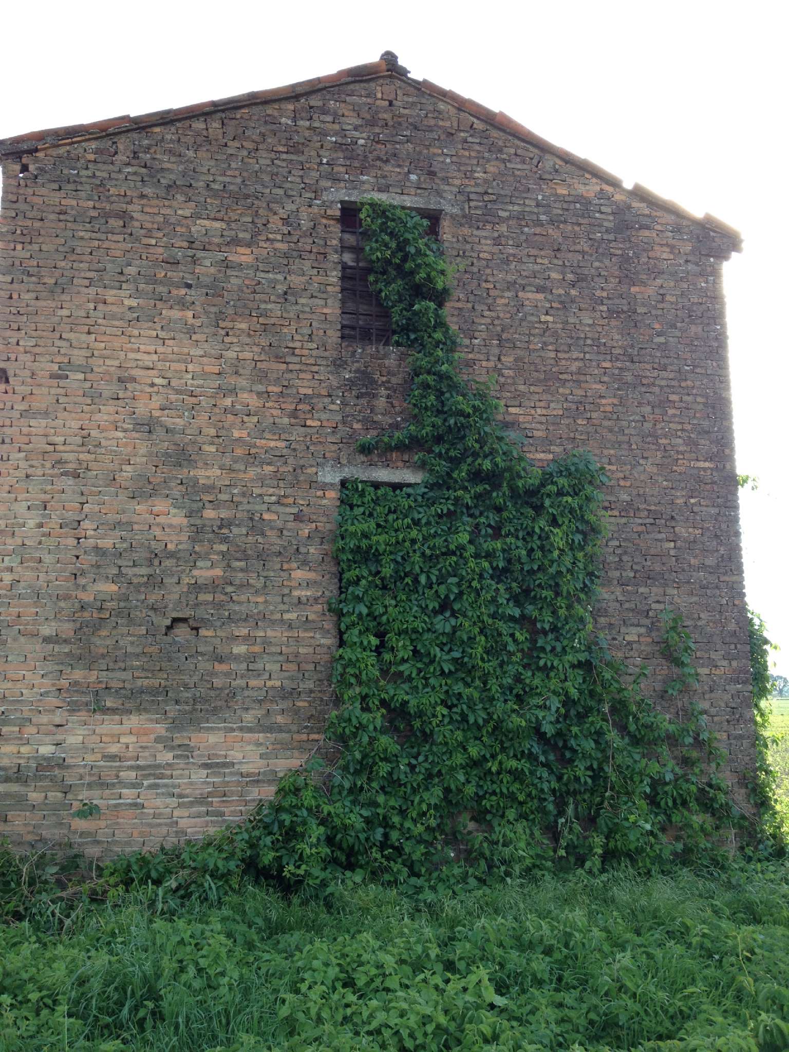 Rustico - Cascina TRIBANO vendita   casette HABITAT S.A.S.