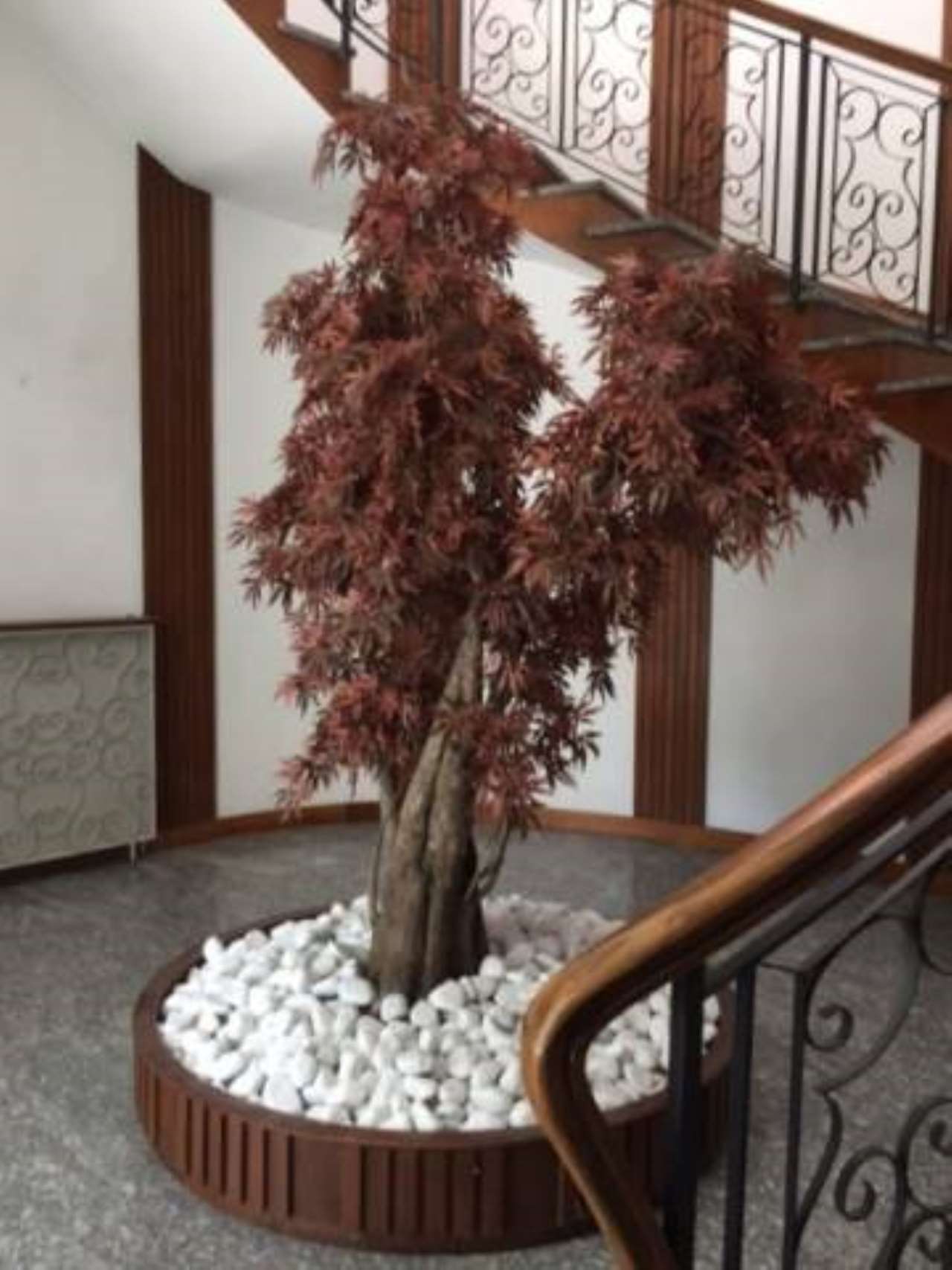  piacenza affitto quart:  invest-s.r.l.-–-intermediaria-consulenze-immobiliari