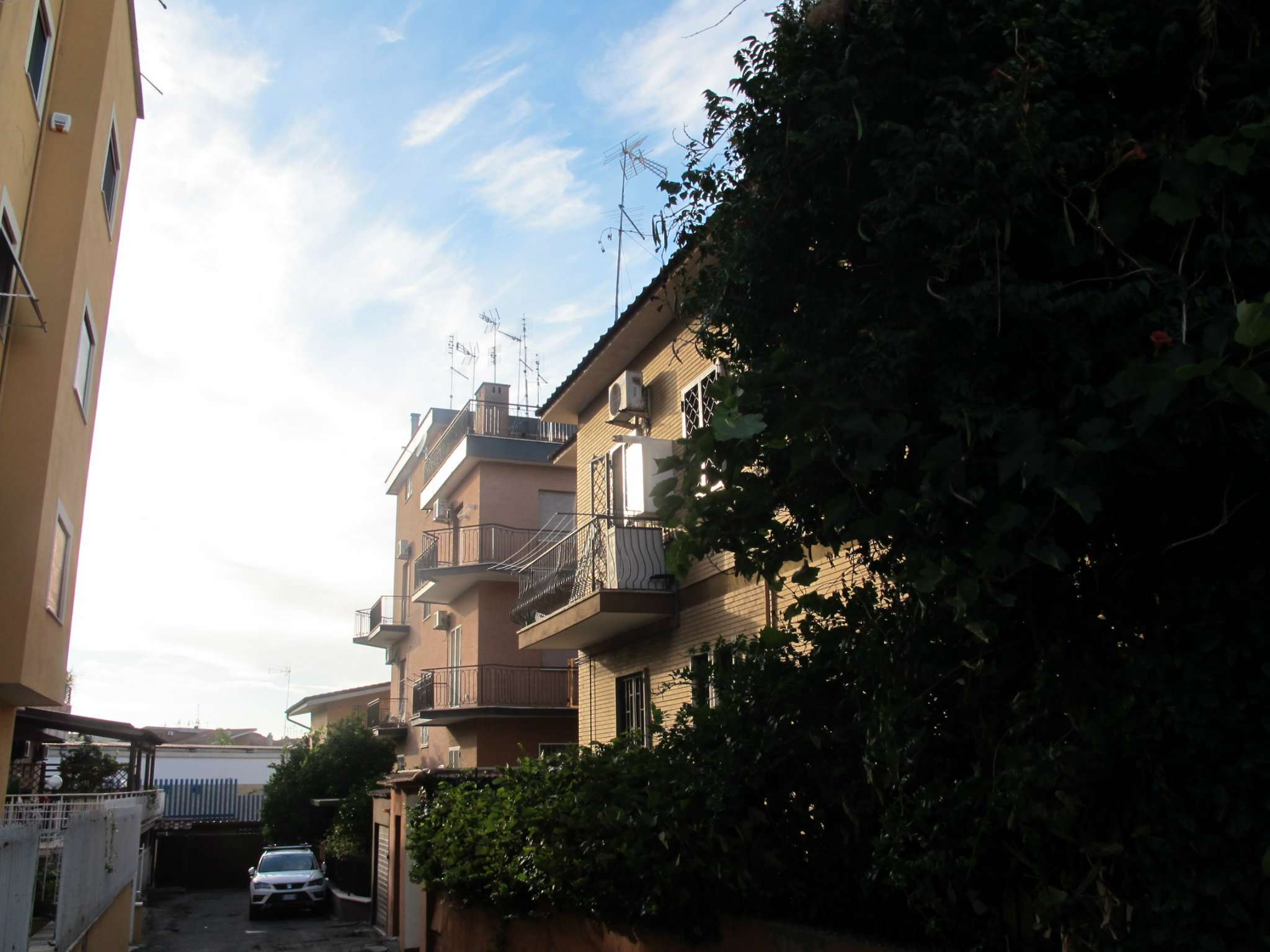 Appartamento ROMA vendita  LA RUSTICA (ZONA DELLA VII MUN.) Delia INGELMAN IMMOBILIARE