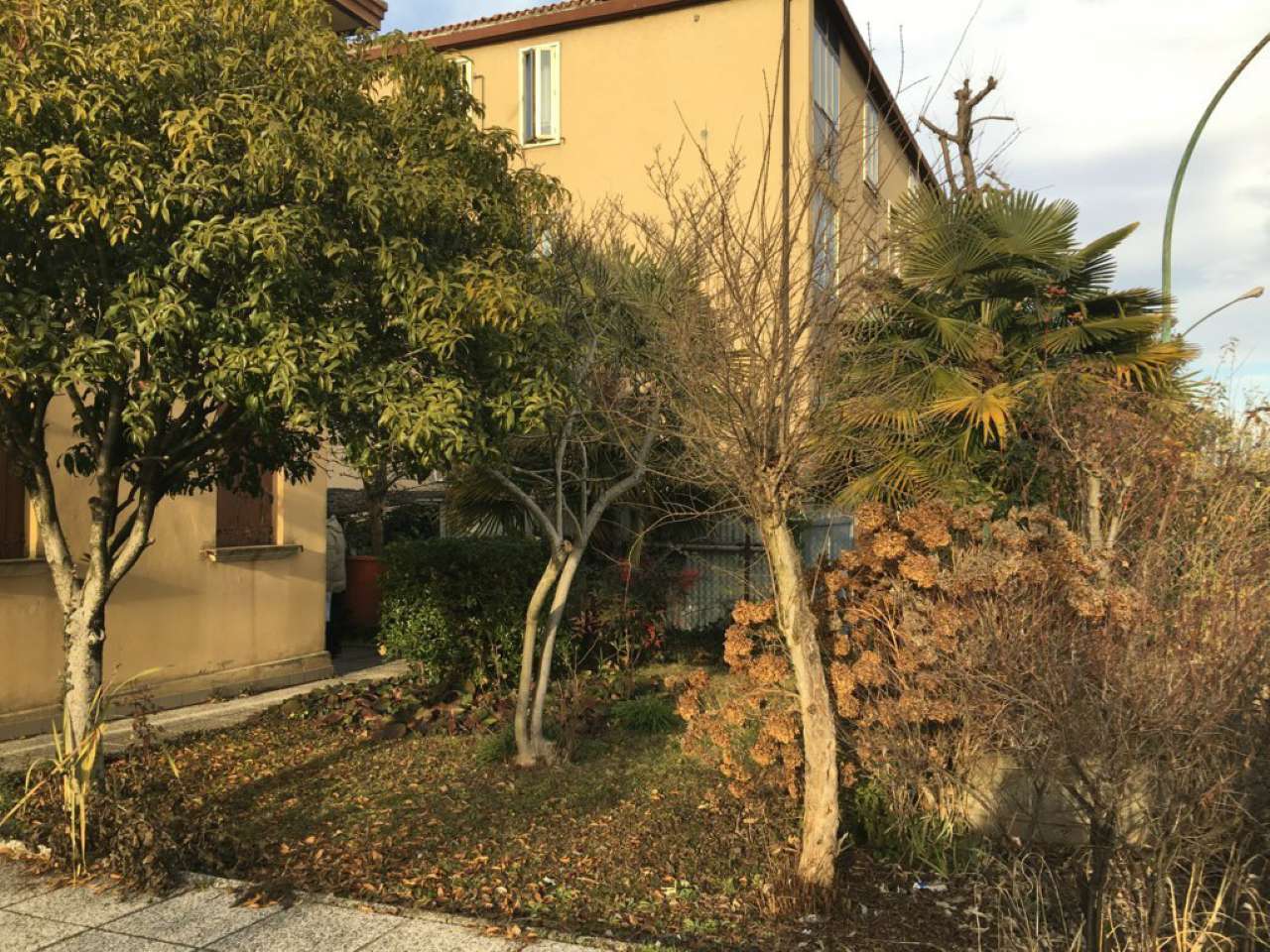 Villa Unifamiliare - Indipendente MIRA vendita   DANTE Sinergy Immobiliare Oriago