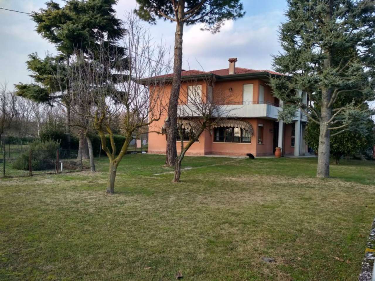 Villa CAMPONOGARA vendita   PROZZOLO Sinergy Immobiliare Oriago