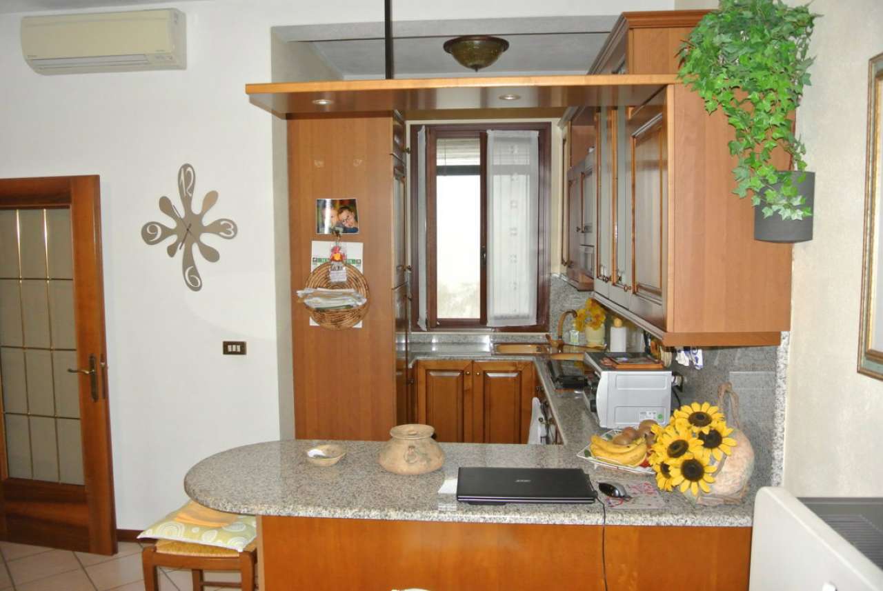 Villa Unifamiliare - Indipendente MIRA vendita   VENETO Sinergy Immobiliare Oriago