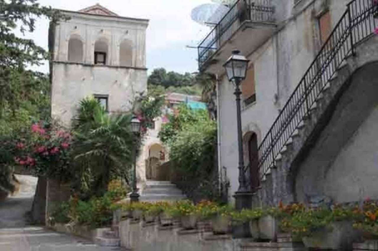 Rustico - Cascina ISPANI vendita   Castello Fabbrica Di Stile