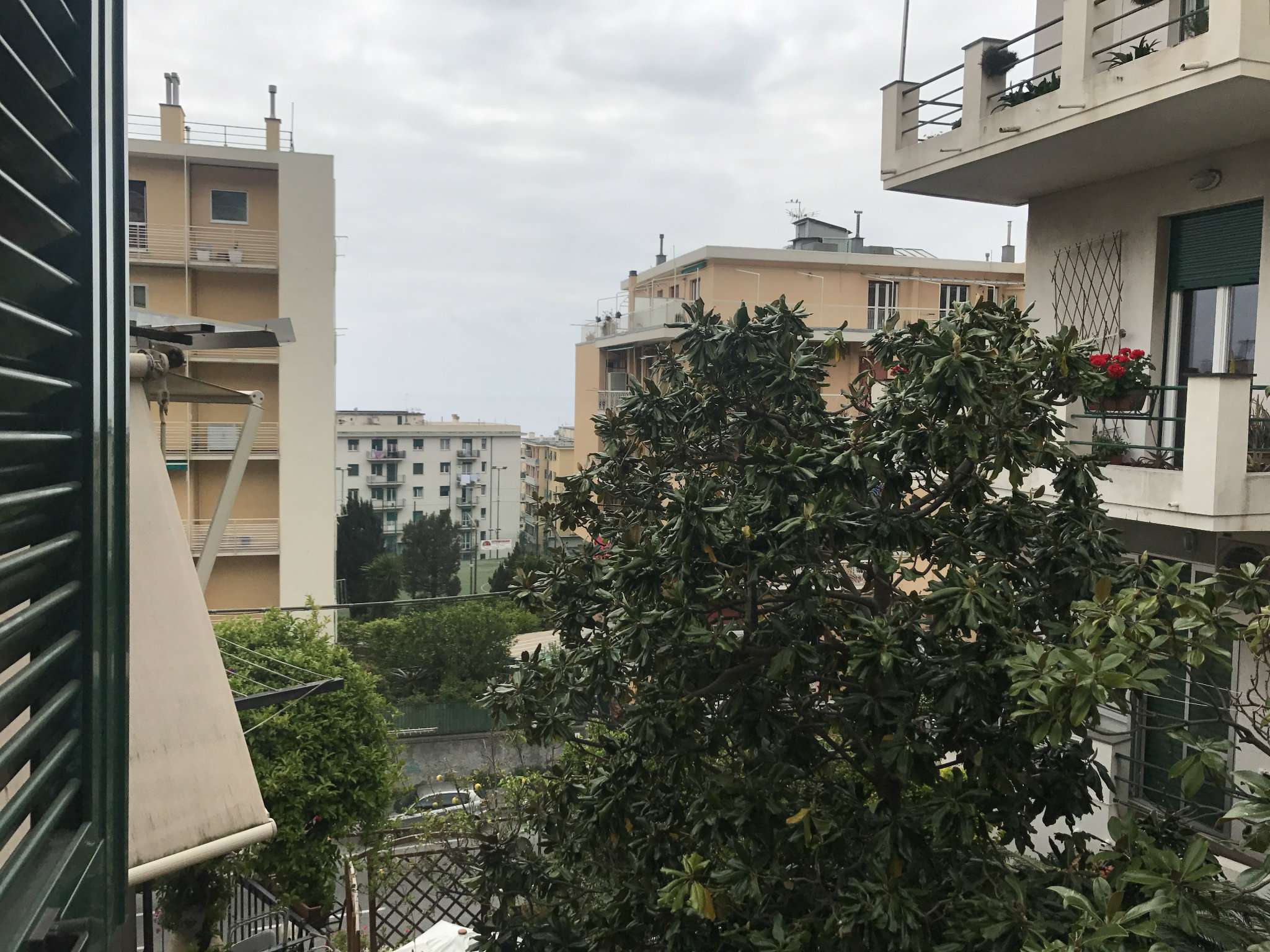  genova vendita quart: nervi benucci real estate immobiliare