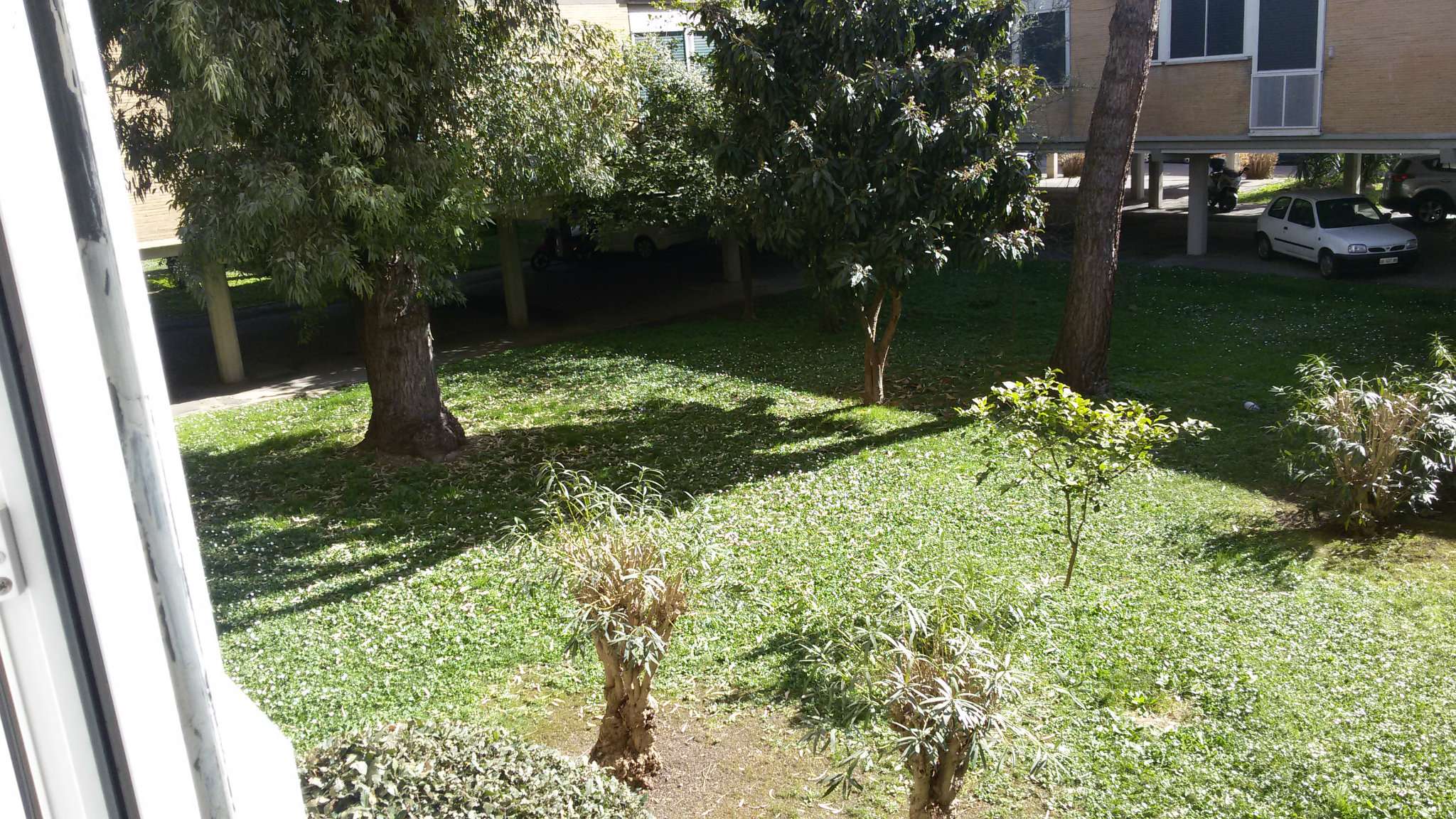 Appartamento ROMA vendita  FLAMINIO  Via Turchia Progresso Casa Srls