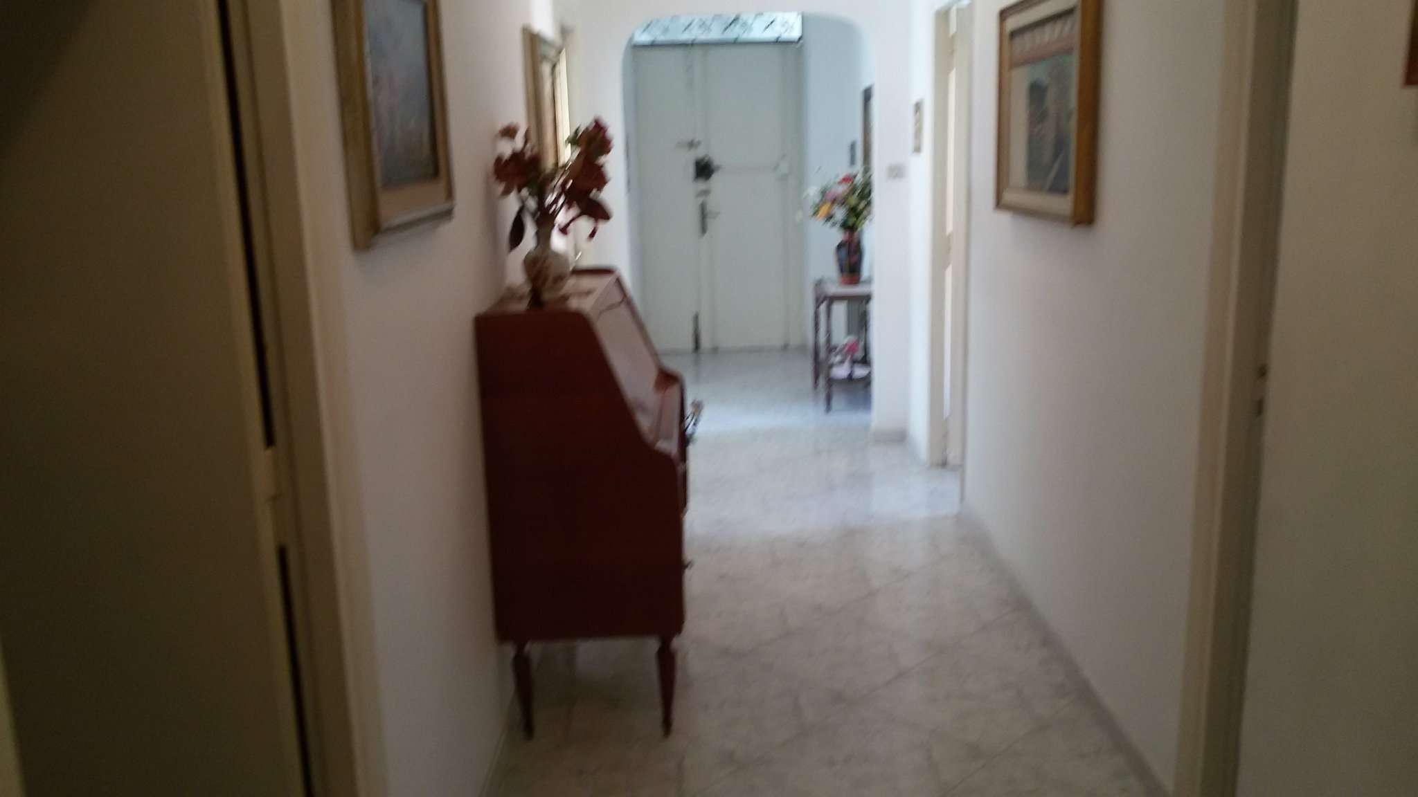 Appartamento ROMA vendita  FLAMINIO  Via Turchia Progresso Casa Srls