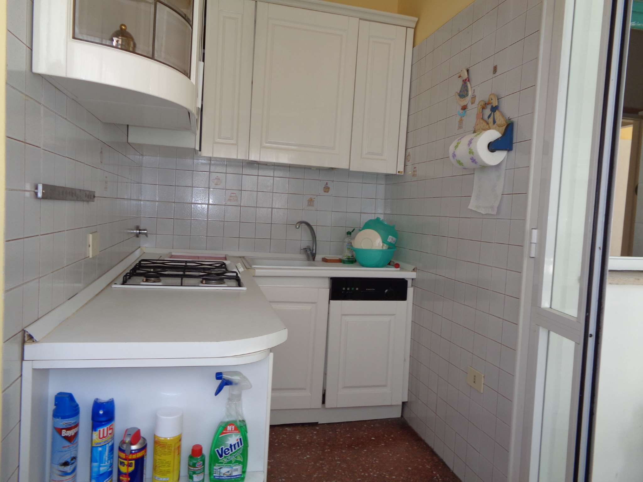Appartamento ROMA affitto  SAN PIETRO VIA MONTE DELGALLO LLOYD AGENCY