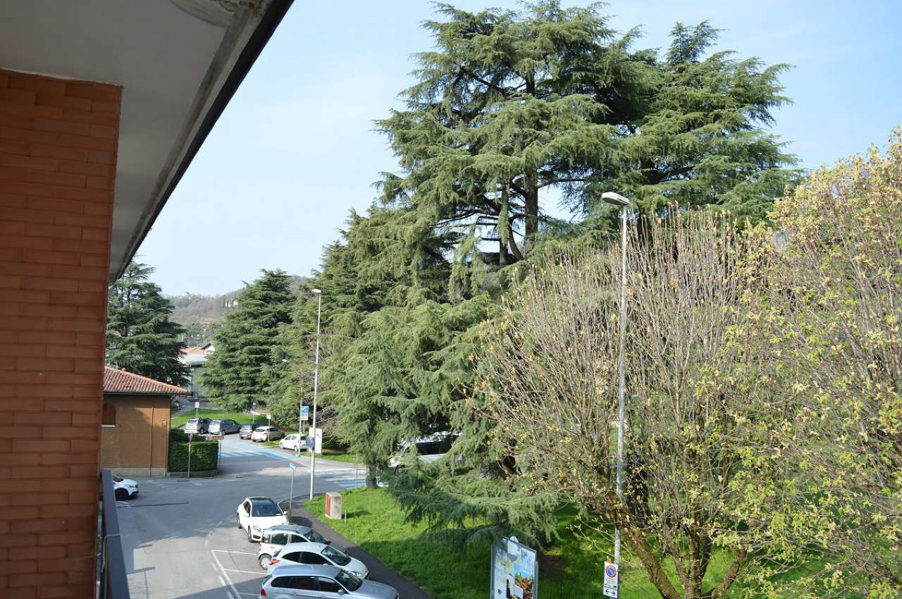 Appartamento BOTTICINO vendita   Udine Agenzia Salvi Immobiliare