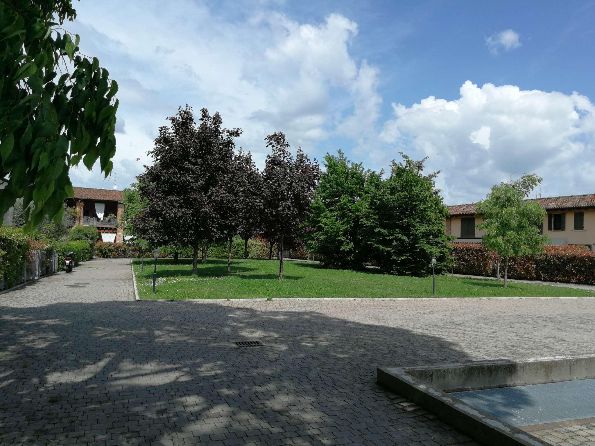  san-zeno-naviglio vendita quart:  agenzia-salvi-immobiliare