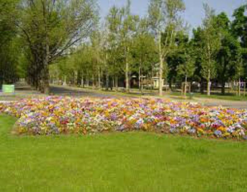 Appartamento TORINO affitto  PARELLA monte grappa casa veloce