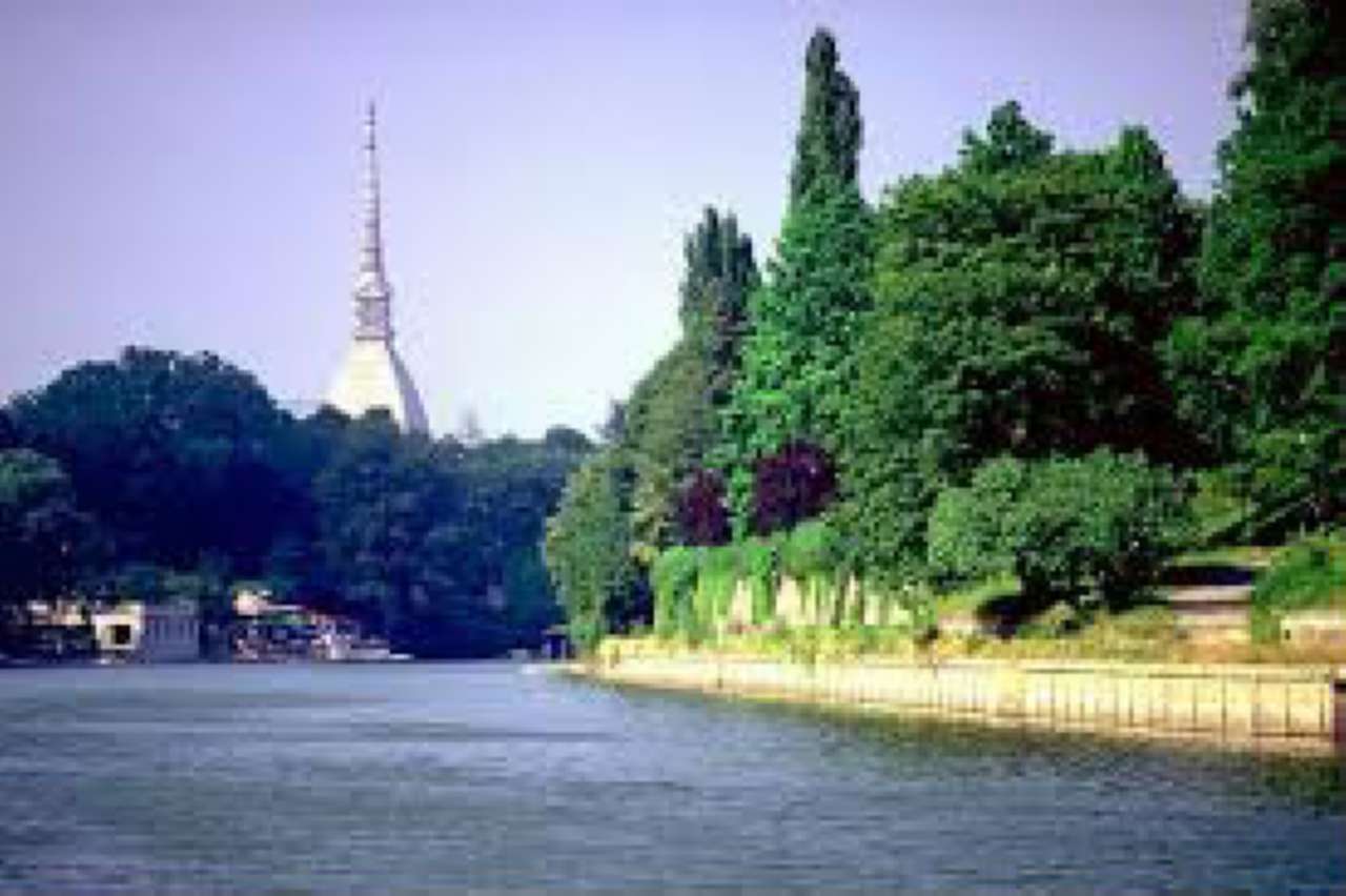  torino affitto quart: vanchiglia casa veloce