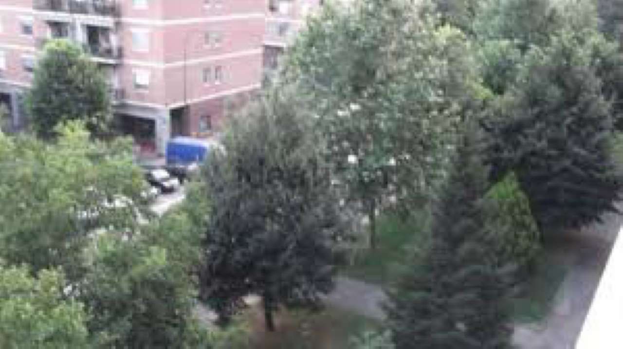  torino affitto quart: mirafiori nord casa veloce