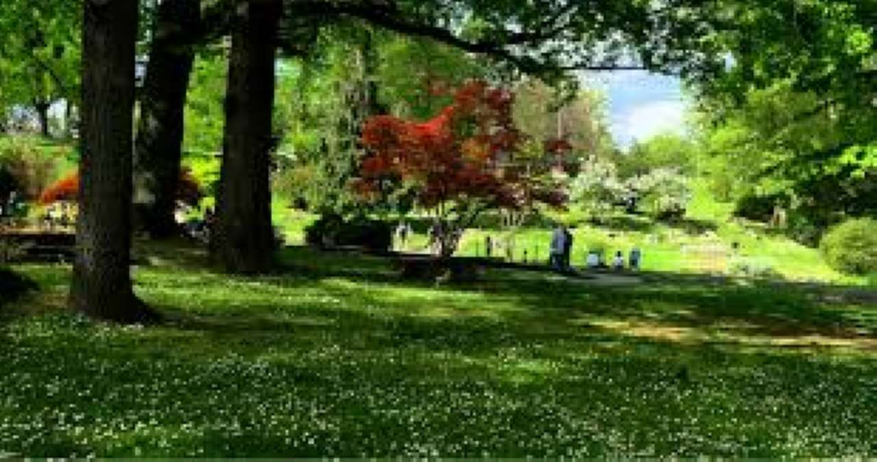  torino affitto quart: parco del valentino casa veloce