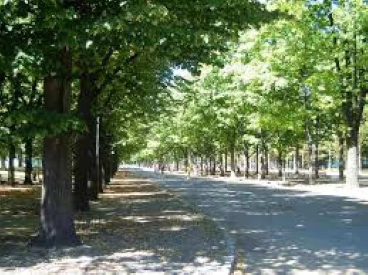 Appartamento TORINO affitto  CENISIA parco ruffini casa veloce