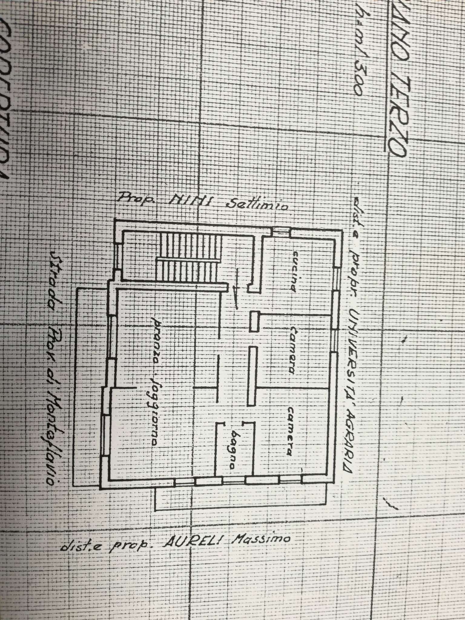 Appartamento MORICONE vendita   via monte flavio SALVI IMMOBILIARE