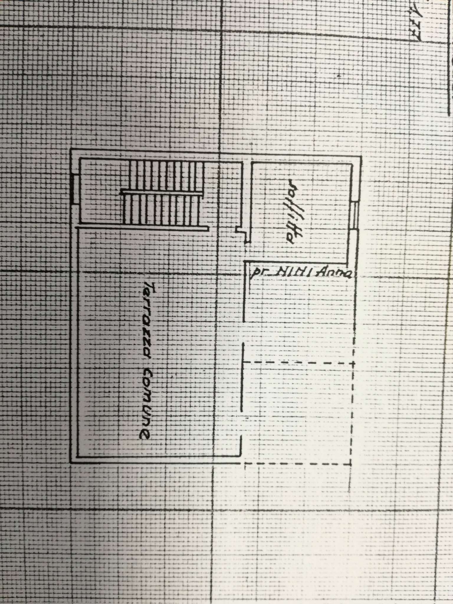 Appartamento MORICONE vendita   via monte flavio SALVI IMMOBILIARE