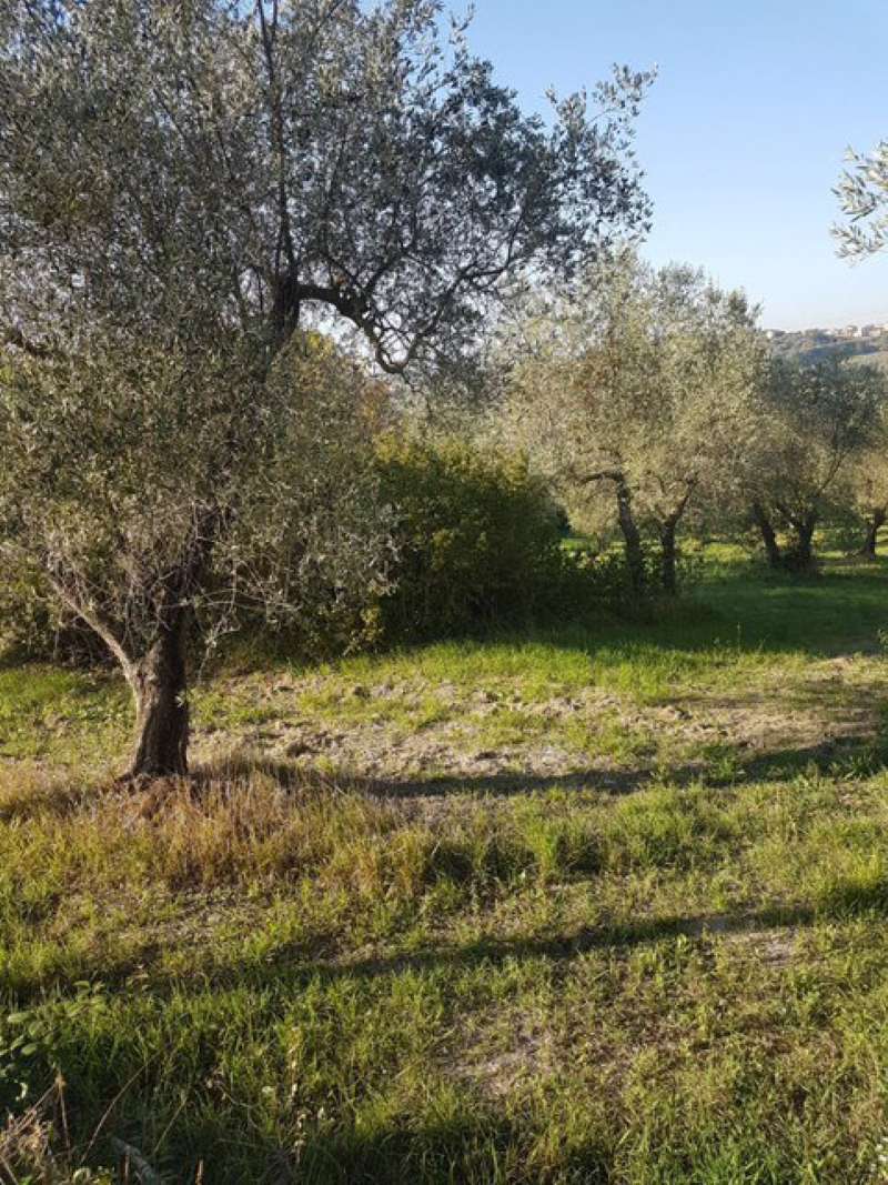 Rustico - Cascina FIANO ROMANO vendita   via della Felciarella SALVI IMMOBILIARE