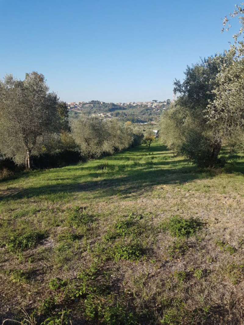 Rustico - Cascina FIANO ROMANO vendita   via della Felciarella SALVI IMMOBILIARE