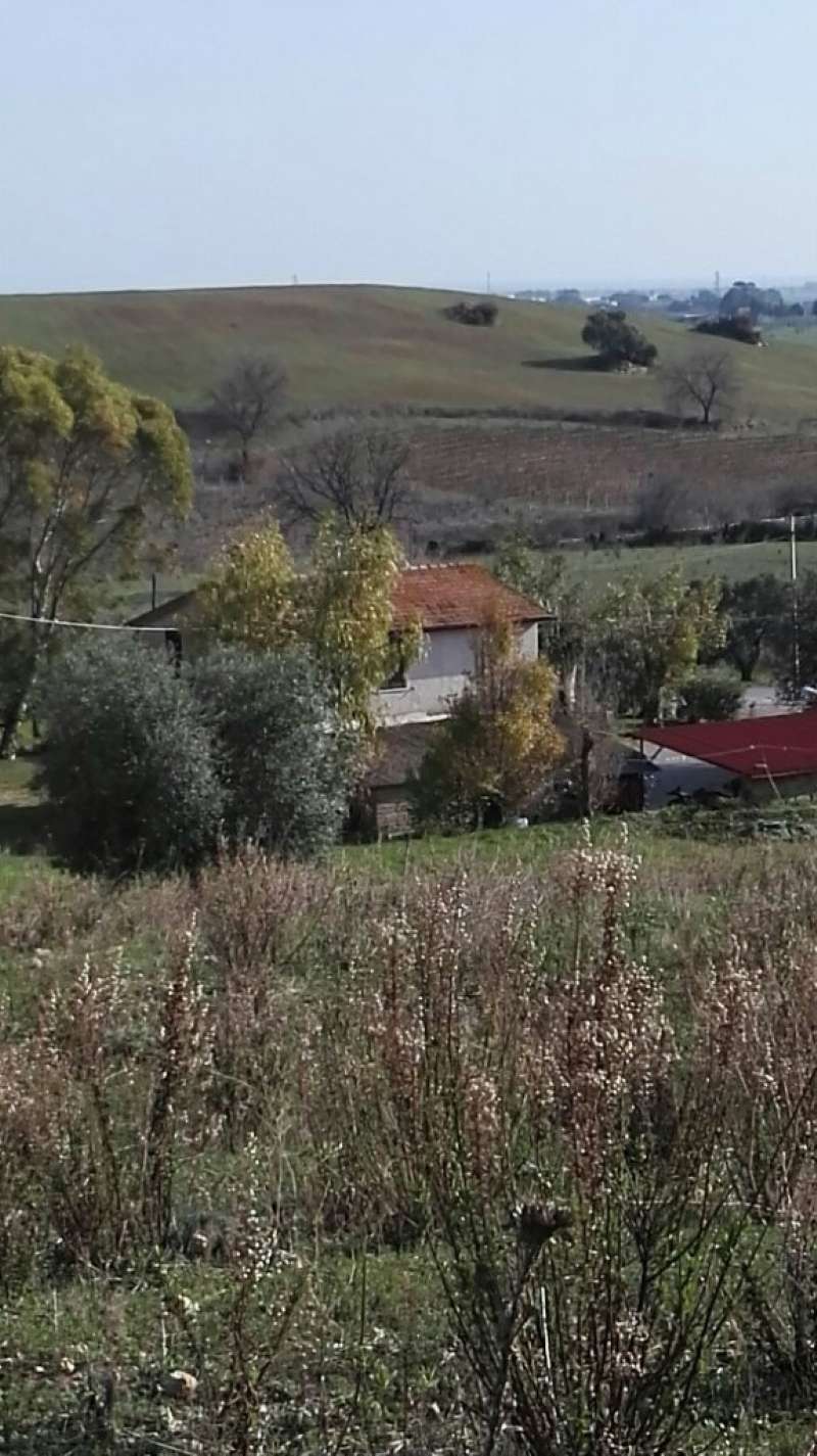 Villa Unifamiliare - Indipendente CAPALBIO vendita   cava del gesso Mr case