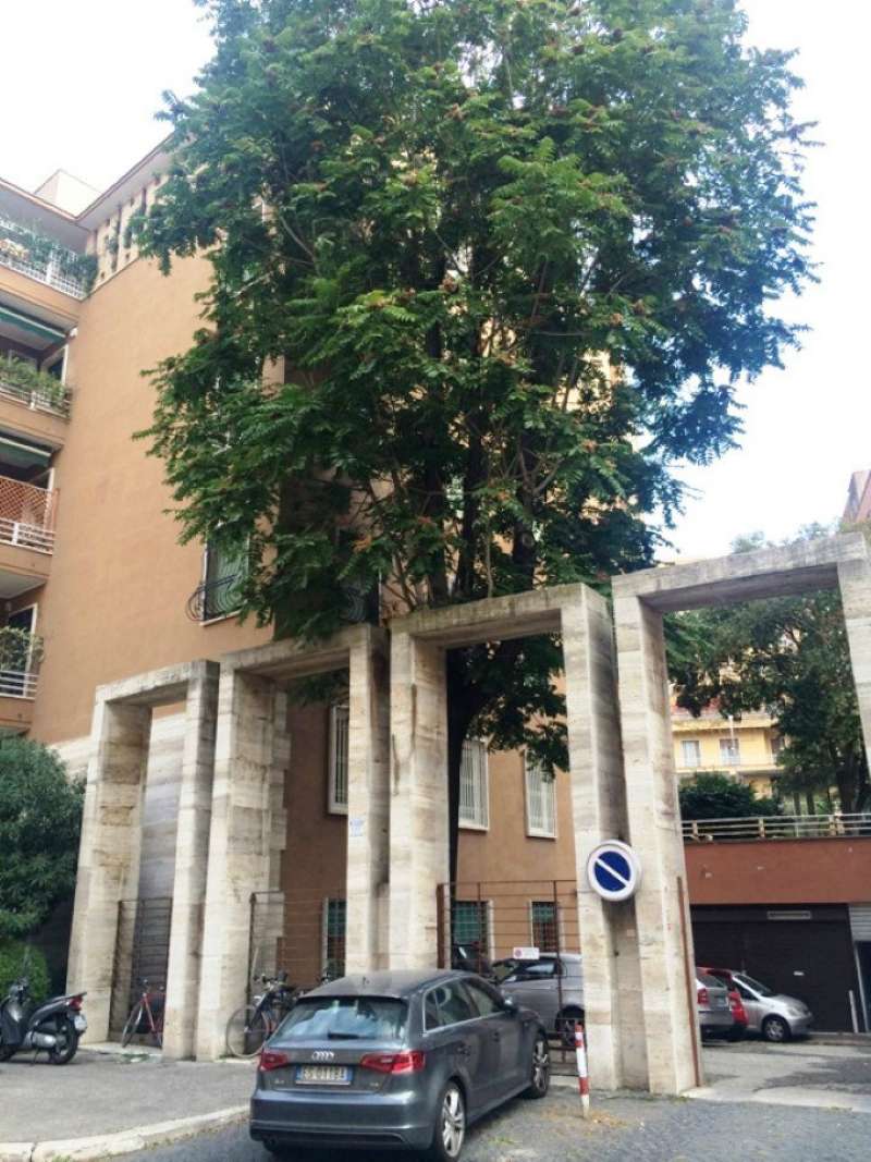  roma vendita quart: parioli  mr-case