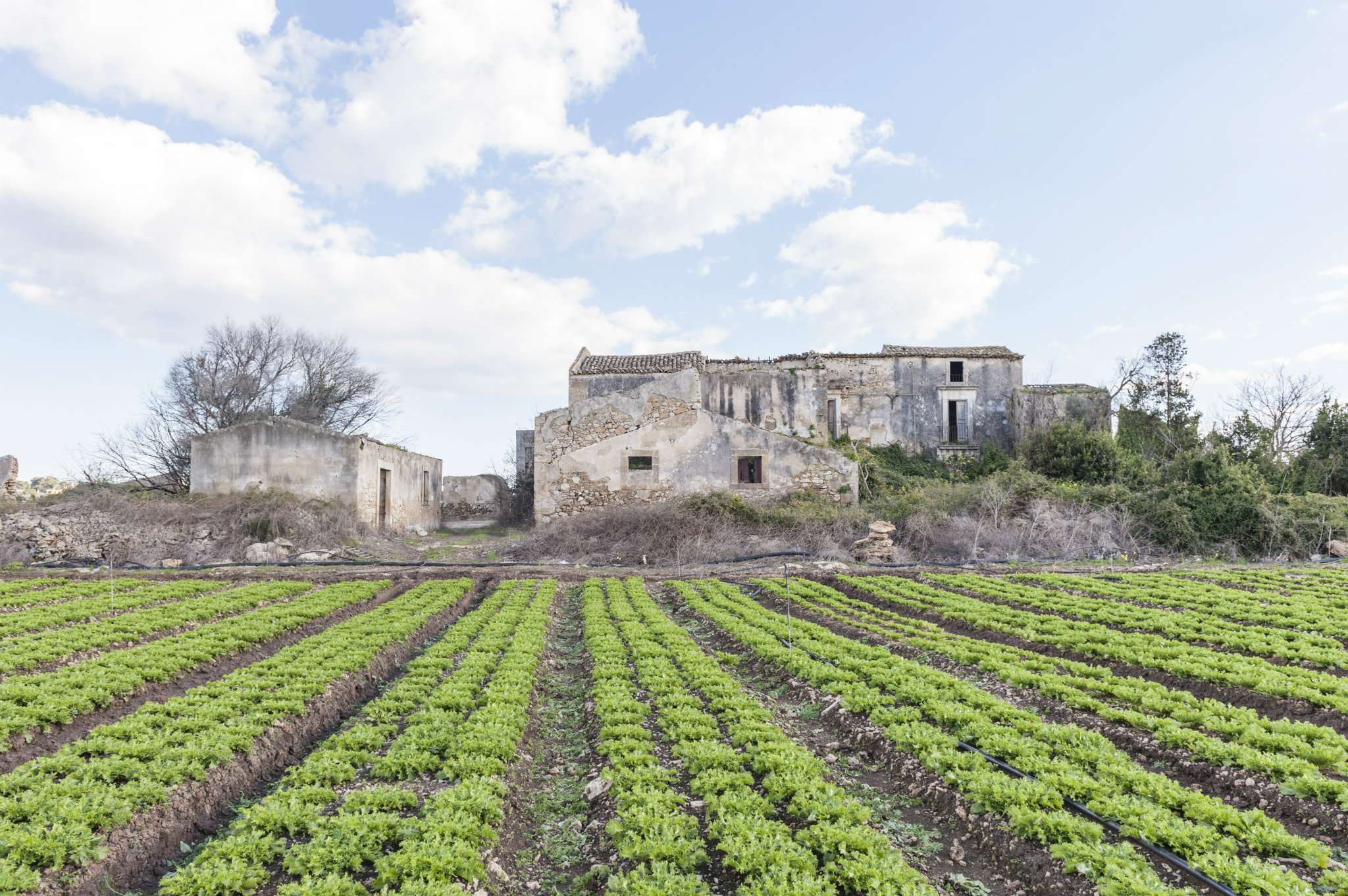 Appartamento SIRACUSA vendita    Amore Immobiliare