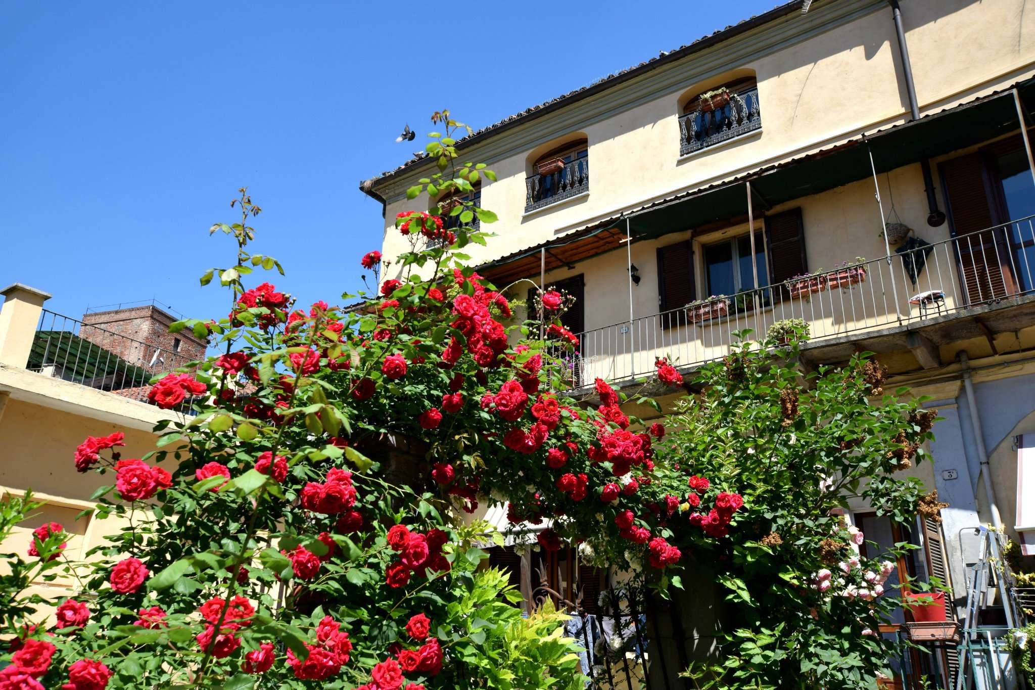 Appartamento CHIERI vendita    Nuova Rete Casa