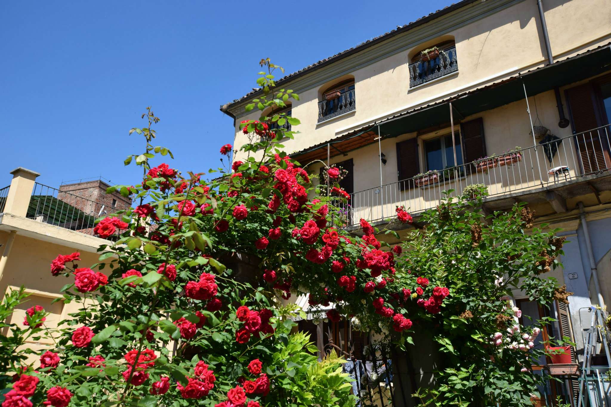  chieri vendita quart:  nuova-rete-casa