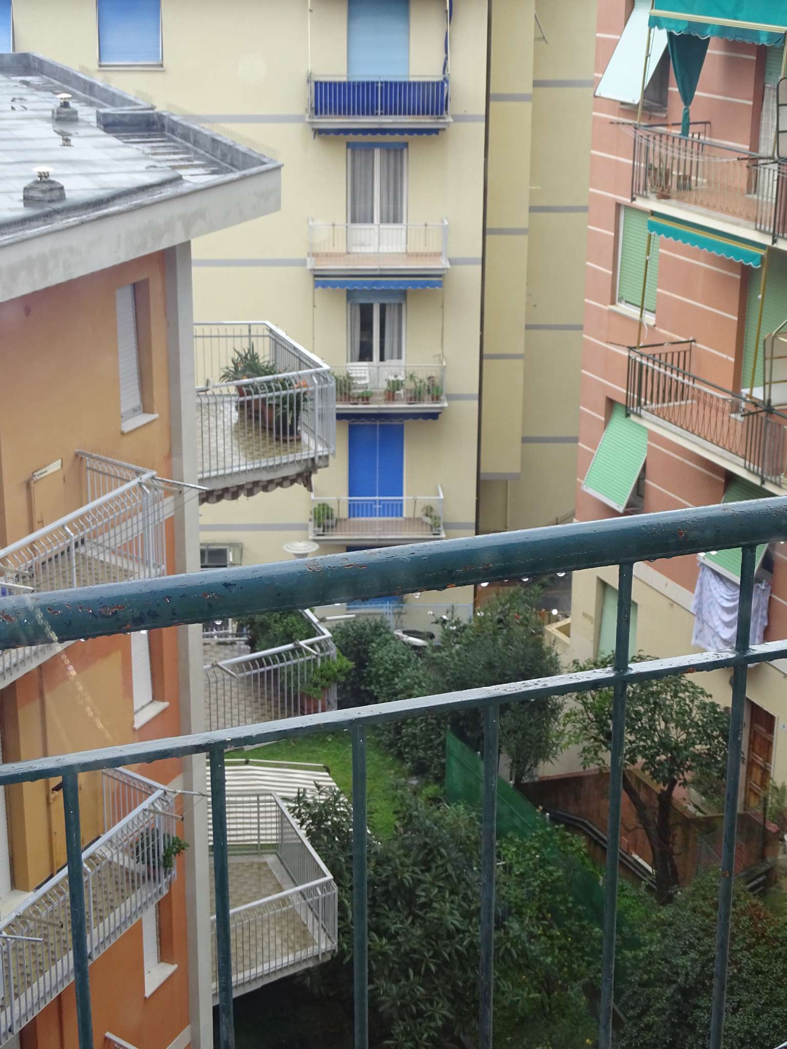 Appartamento RAPALLO affitto   del Carmelo Immobili di Prestigio Milano