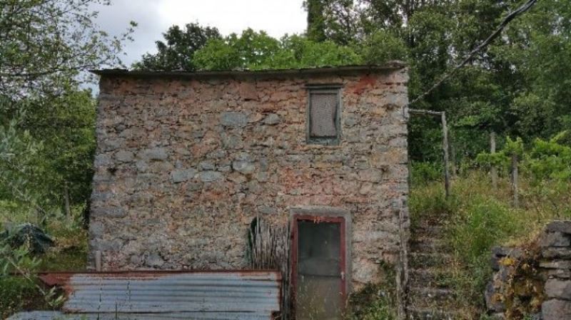 Rustico - Cascina LERICI vendita    Luchesini immobiliare