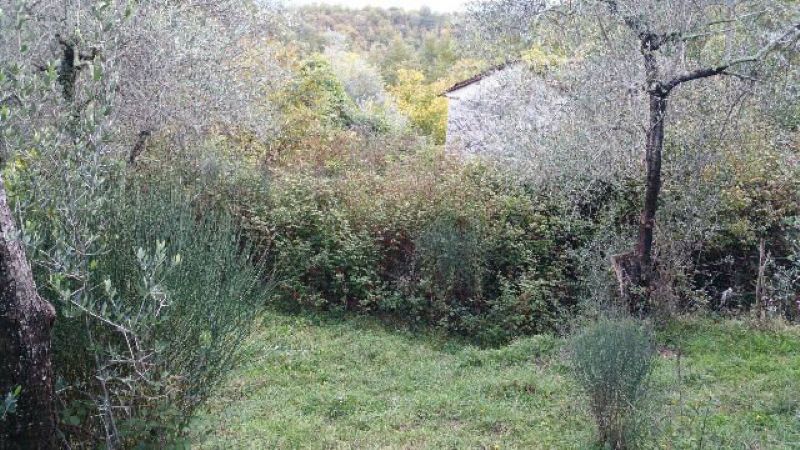 Villa Unifamiliare - Indipendente LICCIANA NARDI vendita    Luchesini immobiliare