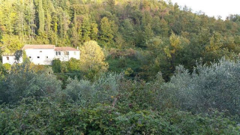 Villa Unifamiliare - Indipendente LICCIANA NARDI vendita    Luchesini immobiliare