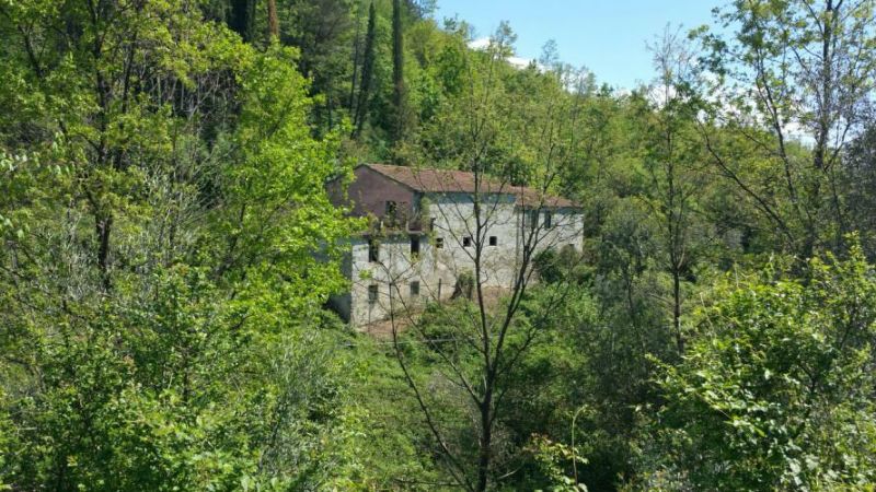 Villa Unifamiliare - Indipendente LICCIANA NARDI vendita    Luchesini immobiliare