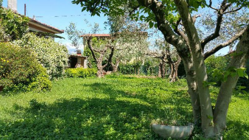 Villa Unifamiliare - Indipendente AMEGLIA vendita    Luchesini immobiliare