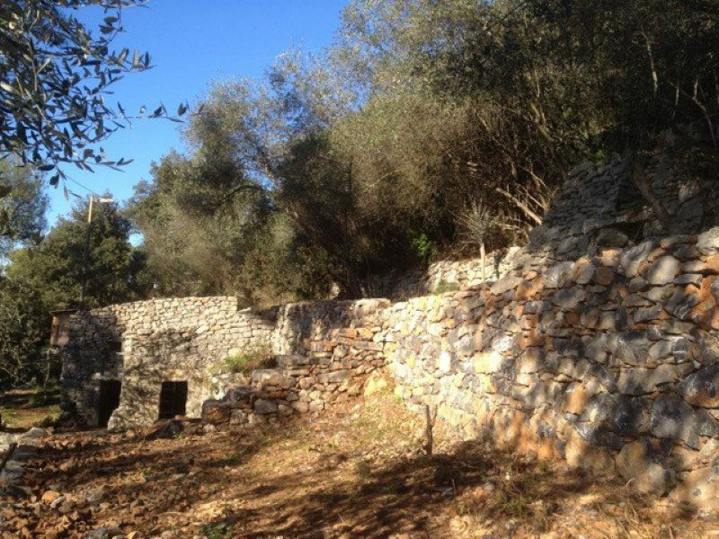 Rustico - Cascina LERICI vendita    Luchesini immobiliare